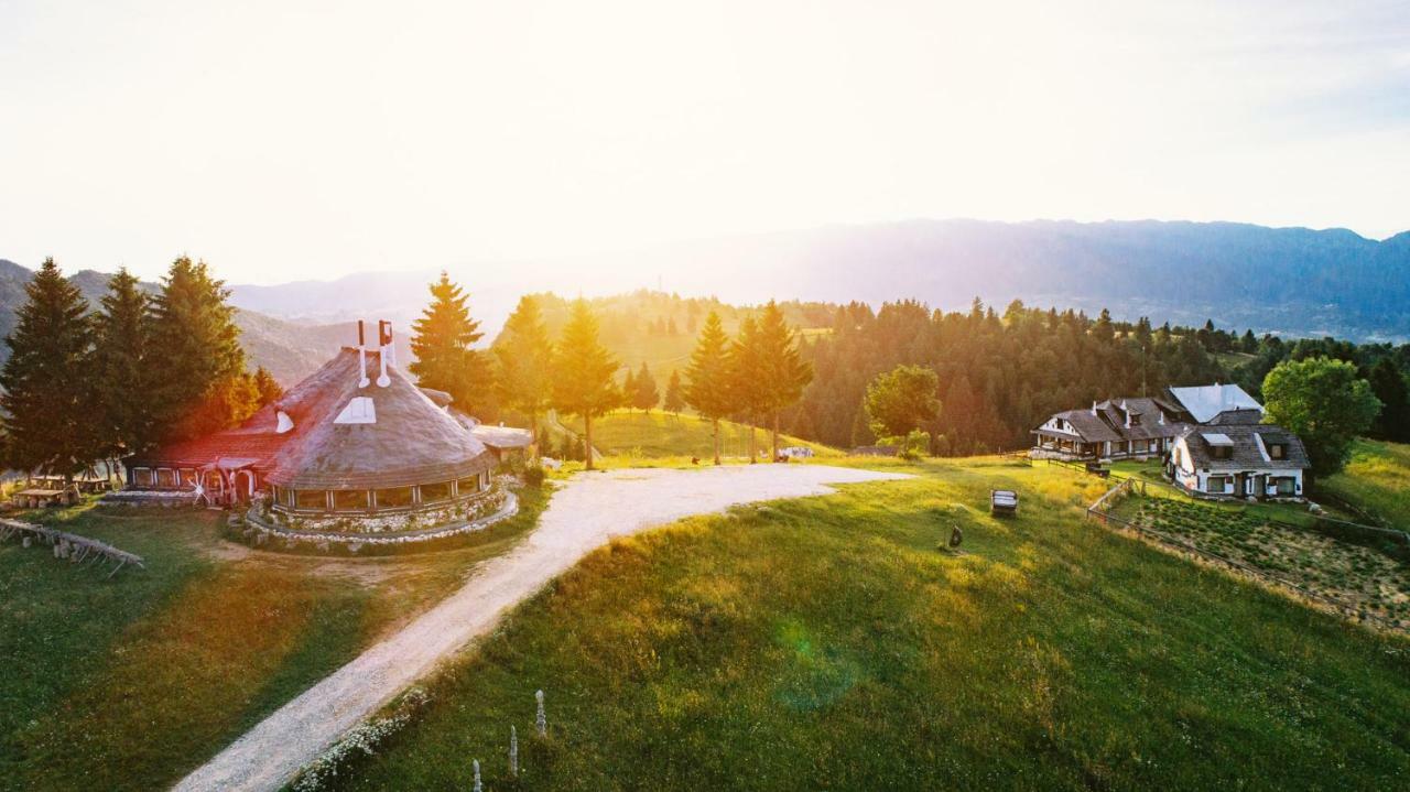 Вілла Amfiteatrul Transilvania Моєчу-де-Жос Екстер'єр фото